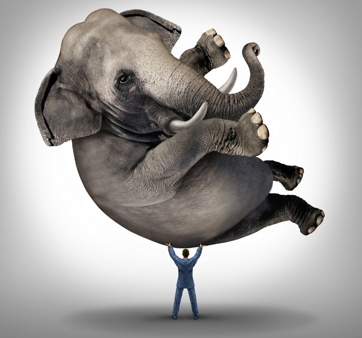 Esenciales de finanzas que debes saber de tu empresa 6 hombre levanta a elefante con sus brazos