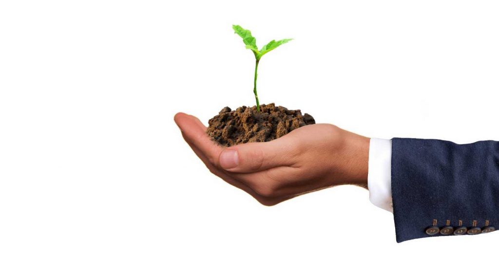 Como crecer tu micronegocio